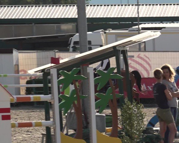 Reitturnier Giubiasco 2024
