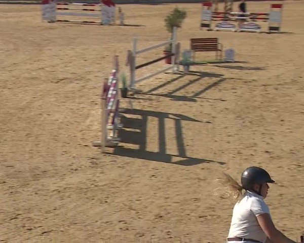 Reitturnier Tiefenhof/Opf. 2024