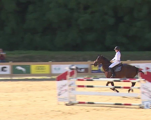 Reitturnier Tiefenhof/Opf. 2024