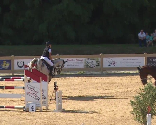 Reitturnier Tiefenhof/Opf. 2024