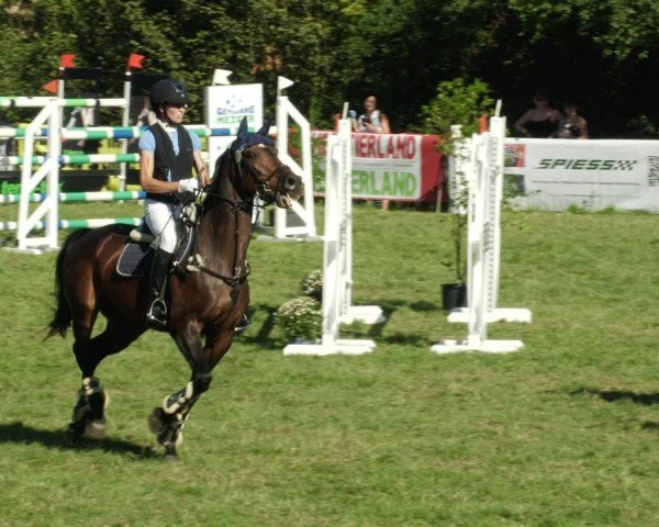 Reitturnier Leonberg 2024