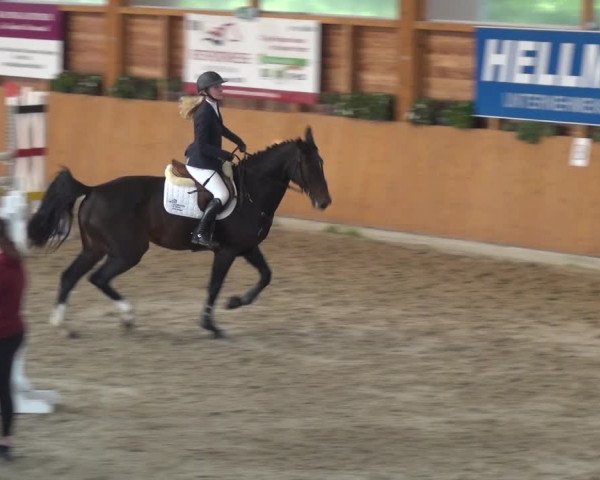 Springturnier Xanten - Reitanlage Miss 2021