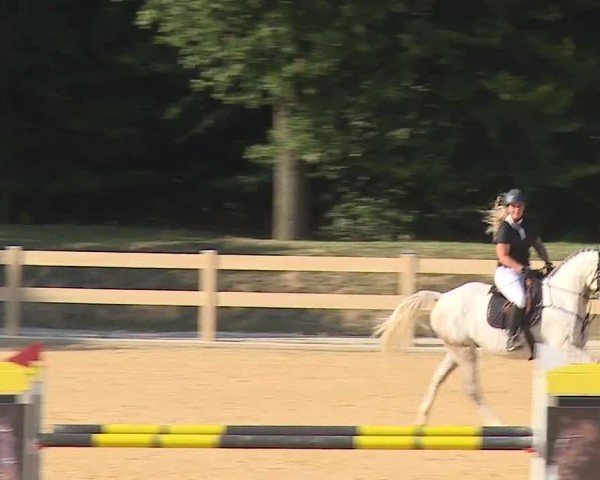 Reitturnier Tiefenhof/Opf. 2024