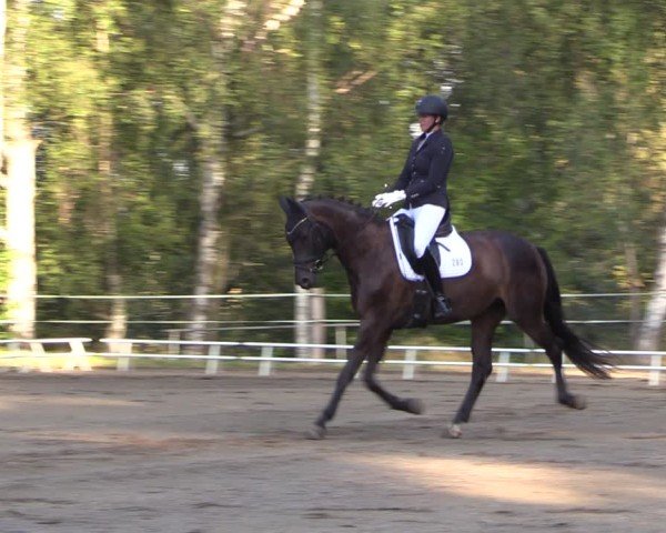 Reitturnier Lgl.-Oberhain, B95 2024