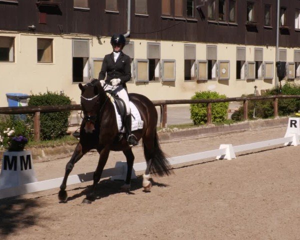 Reitturnier Leonberg 2024