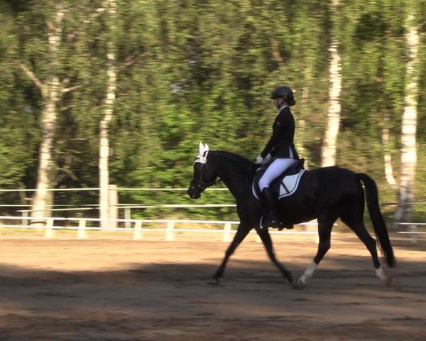 Reitturnier Lgl.-Oberhain, B95 2024