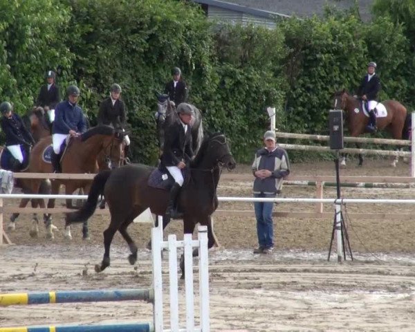 Reitturnier Soest-Ostönnen 2013
