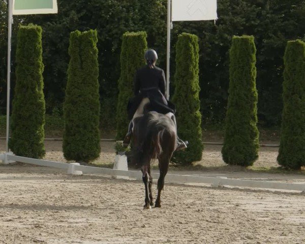 Reitturnier Meinerzhagen 2024