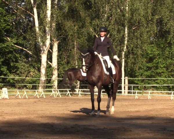 Reitturnier Lgl.-Oberhain, B95 2024