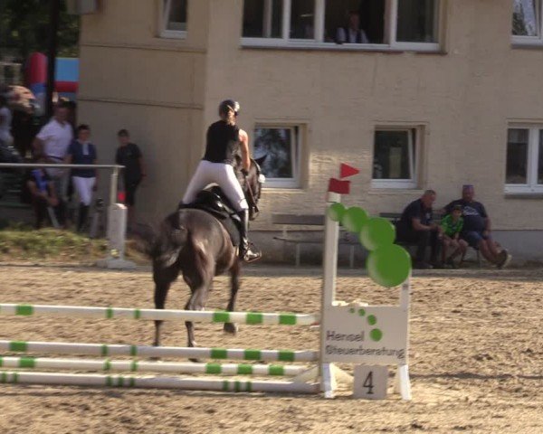 Reitturnier Lgl.-Oberhain, B95 2024