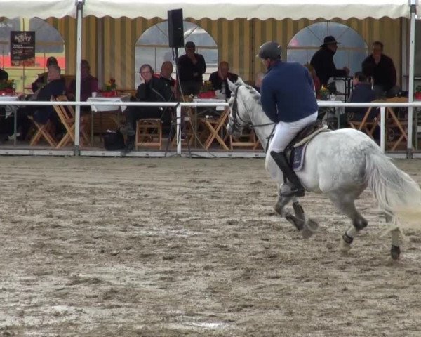 Reitturnier Soest-Ostönnen 2013