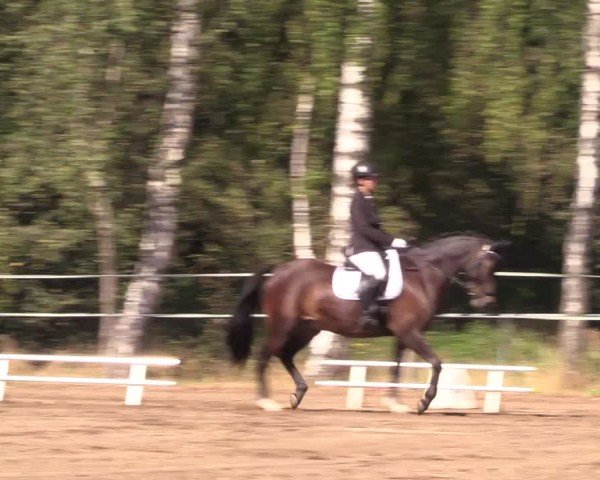 Reitturnier Lgl.-Oberhain, B95 2024