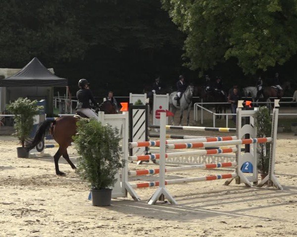 Reitturnier Dinslaken-Hiesfeld 2024