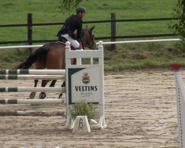 Reitturnier Soest-Ostönnen 2013