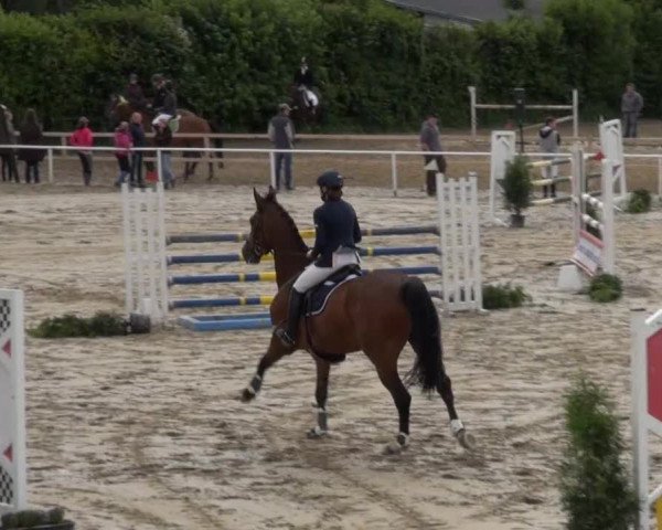Reitturnier Soest-Ostönnen 2013