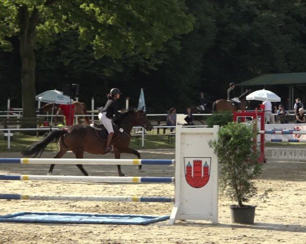 Reitturnier Dinslaken-Hiesfeld 2024