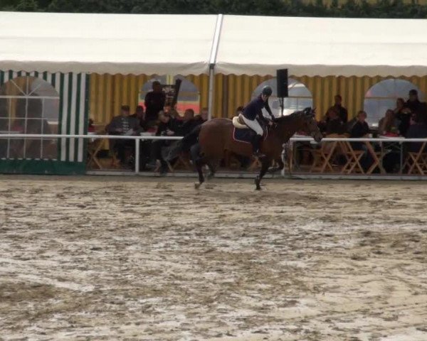 Reitturnier Soest-Ostönnen 2013