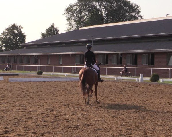 Reitturnier Münchehofe 2024