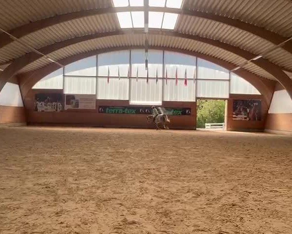 Video von Cornet's Prinz 3