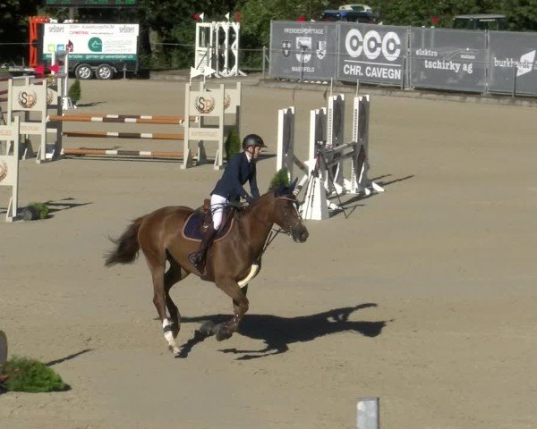 Reitturnier Maienfeld 2024
