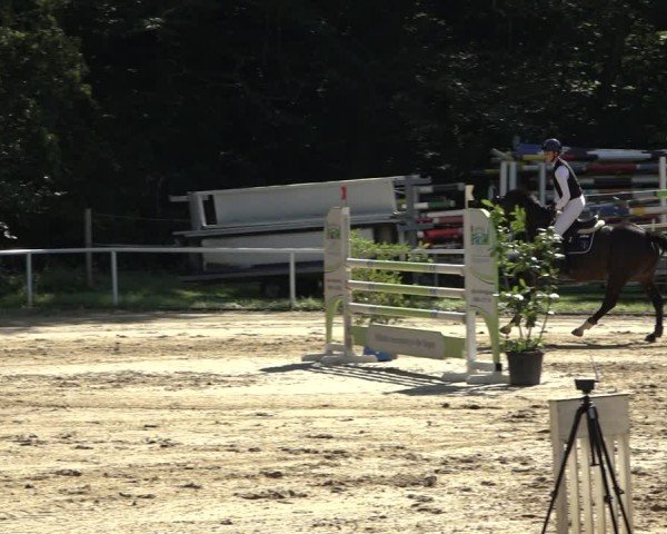 Reitturnier Dinslaken-Hiesfeld 2024