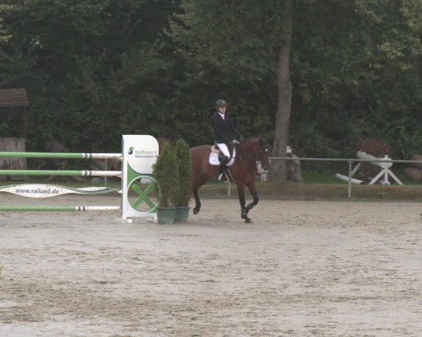 Reitturnier Appelhülsen 2024