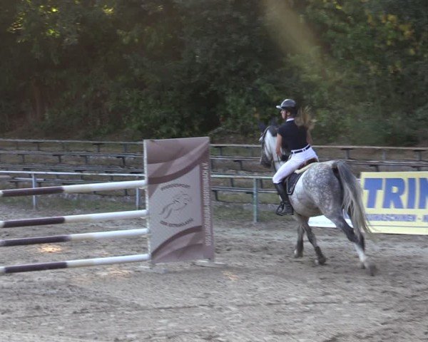 Reitturnier Lgl.-Oberhain, B95 2024
