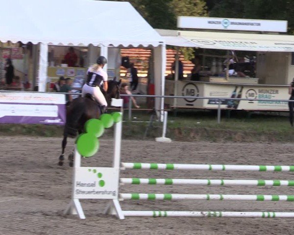 Reitturnier Lgl.-Oberhain, B95 2024