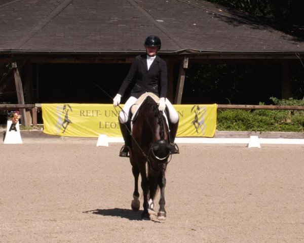 Reitturnier Leonberg 2024