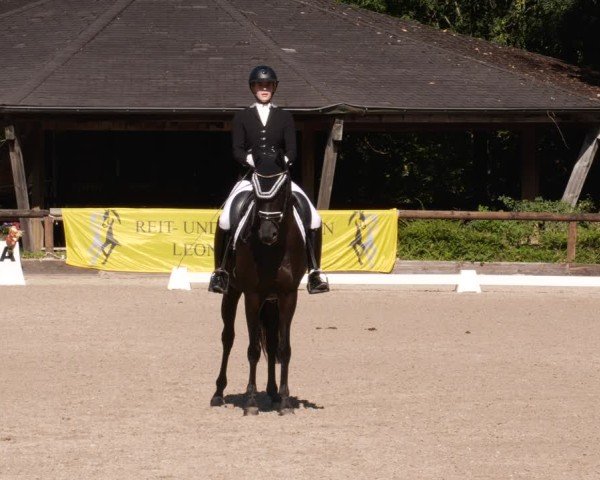 Reitturnier Leonberg 2024