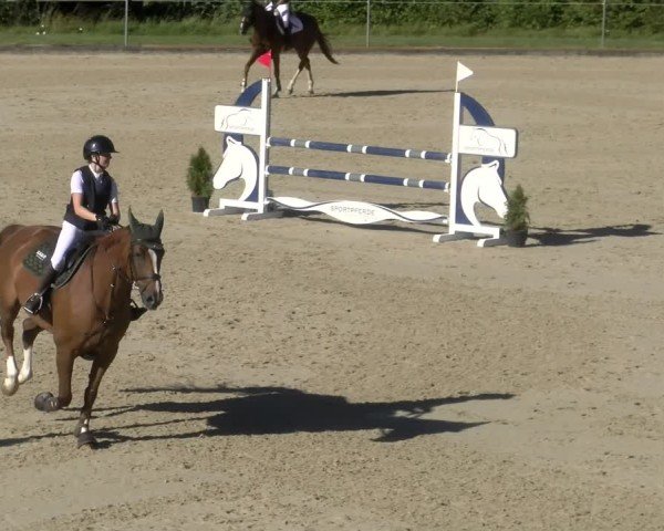 Reitturnier Maienfeld 2024