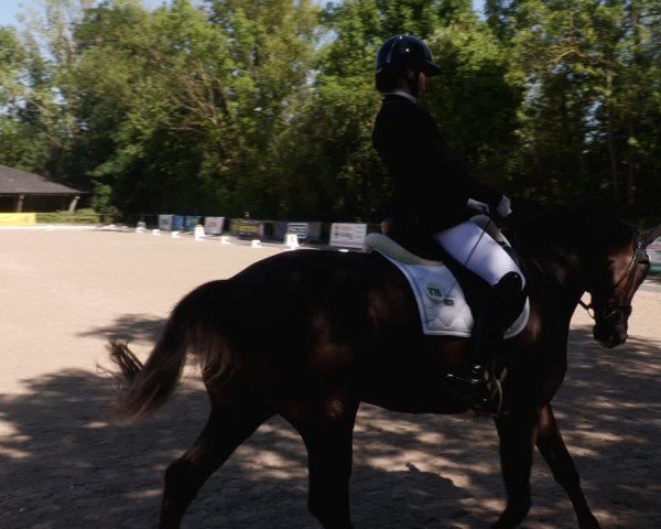 Reitturnier Leonberg 2024
