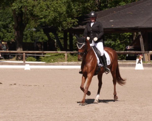 Reitturnier Leonberg 2024