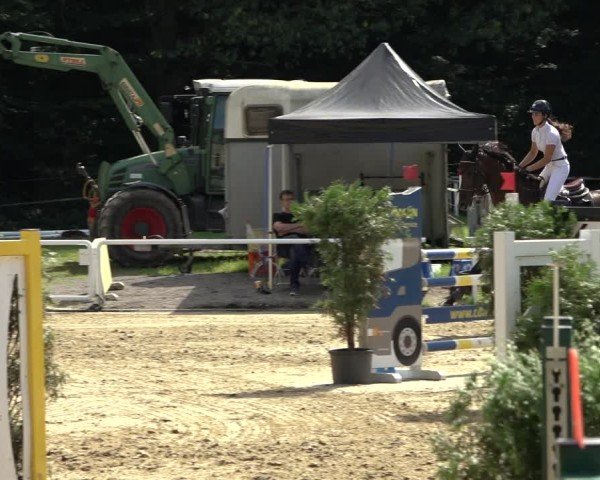 Reitturnier Dinslaken-Hiesfeld 2024