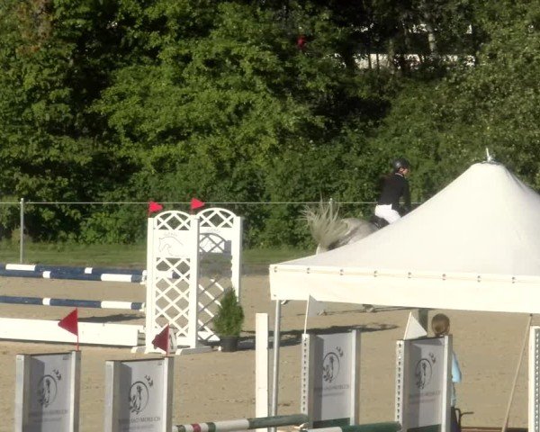 Reitturnier Maienfeld 2024