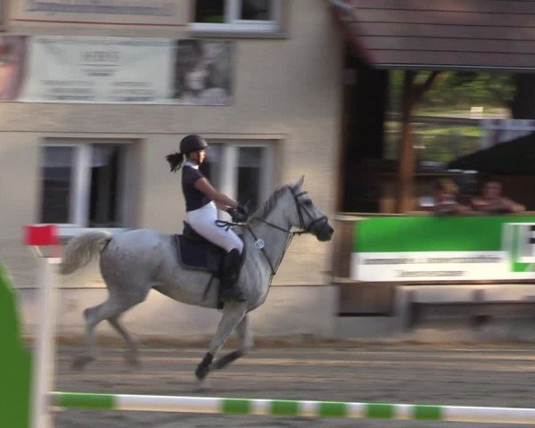 Reitturnier Lgl.-Oberhain, B95 2024
