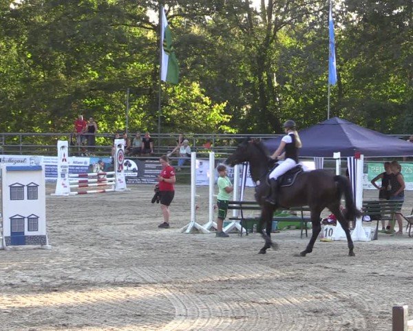 Reitturnier Lgl.-Oberhain, B95 2024
