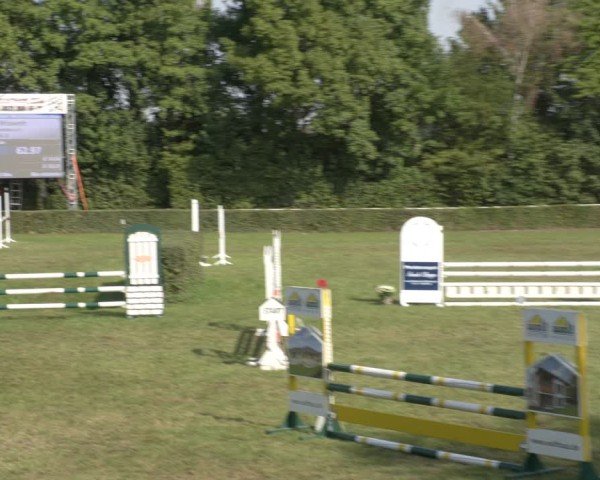 Reitturnier Westeregeln 2024