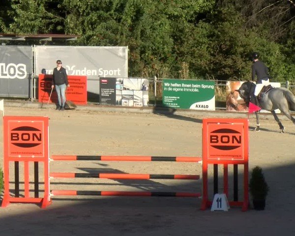 Reitturnier Maienfeld 2024