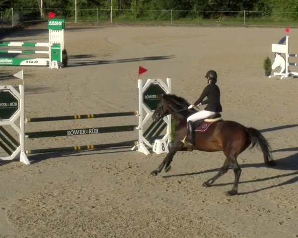 Reitturnier Maienfeld 2024