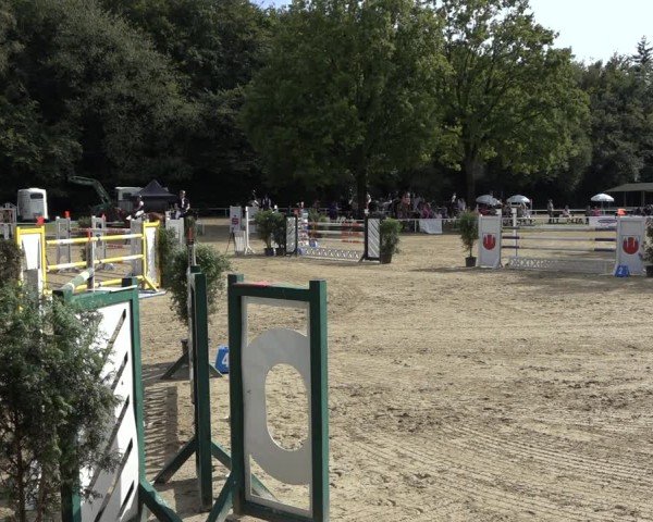 Reitturnier Dinslaken-Hiesfeld 2024