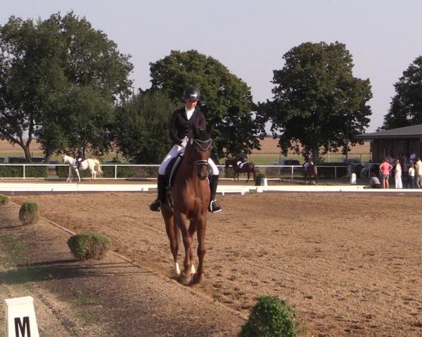 Reitturnier Münchehofe 2024