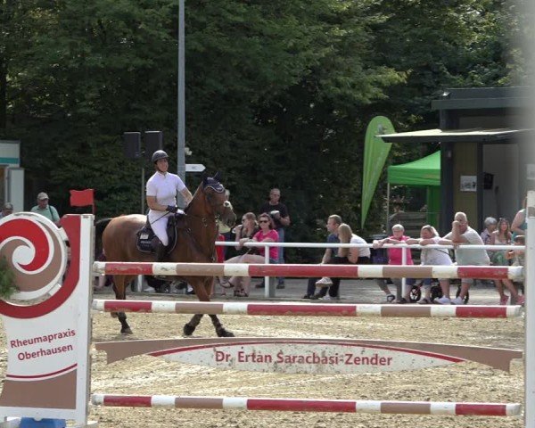 Reitturnier Dinslaken-Hiesfeld 2024