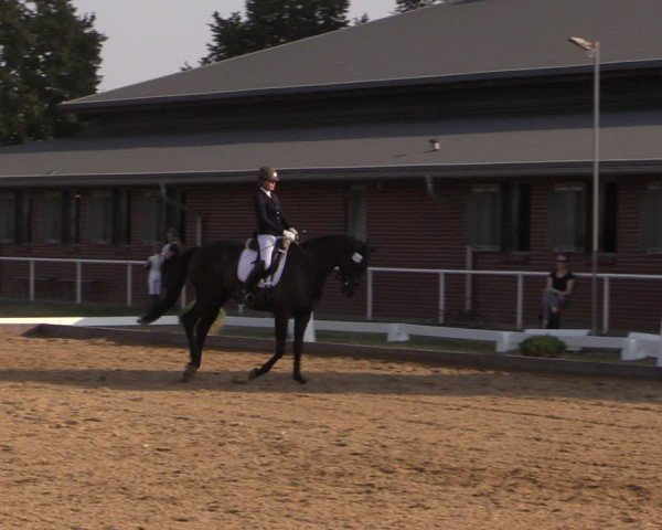 Reitturnier Münchehofe 2024