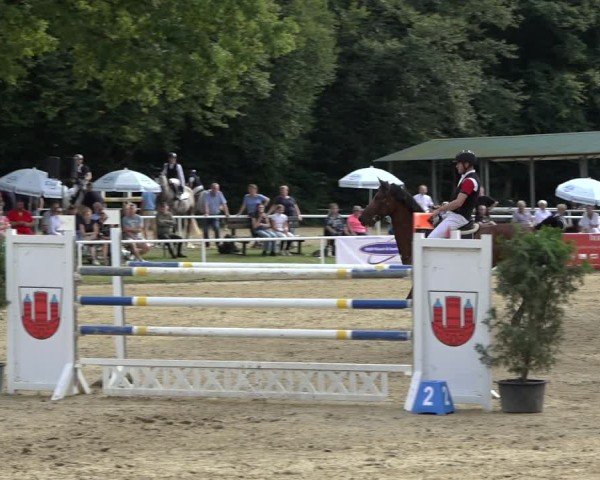 Reitturnier Dinslaken-Hiesfeld 2024