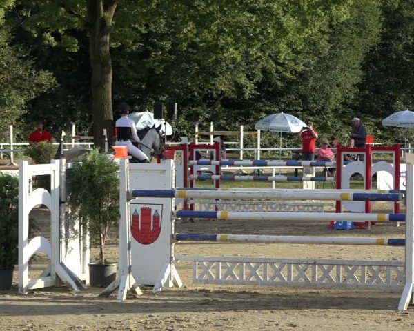 Reitturnier Dinslaken-Hiesfeld 2024