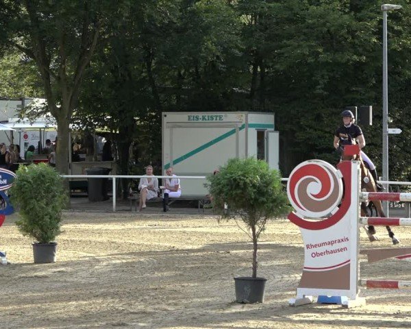 Reitturnier Dinslaken-Hiesfeld 2024