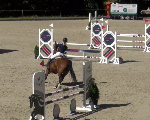 Reitturnier Maienfeld 2024