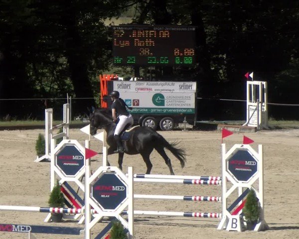 Reitturnier Maienfeld 2024