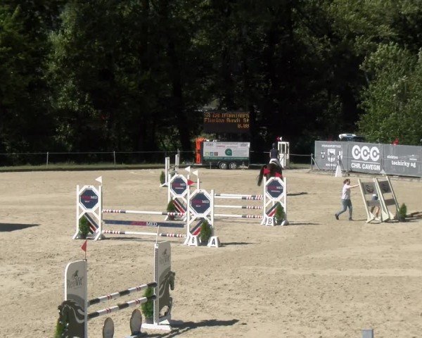 Reitturnier Maienfeld 2024